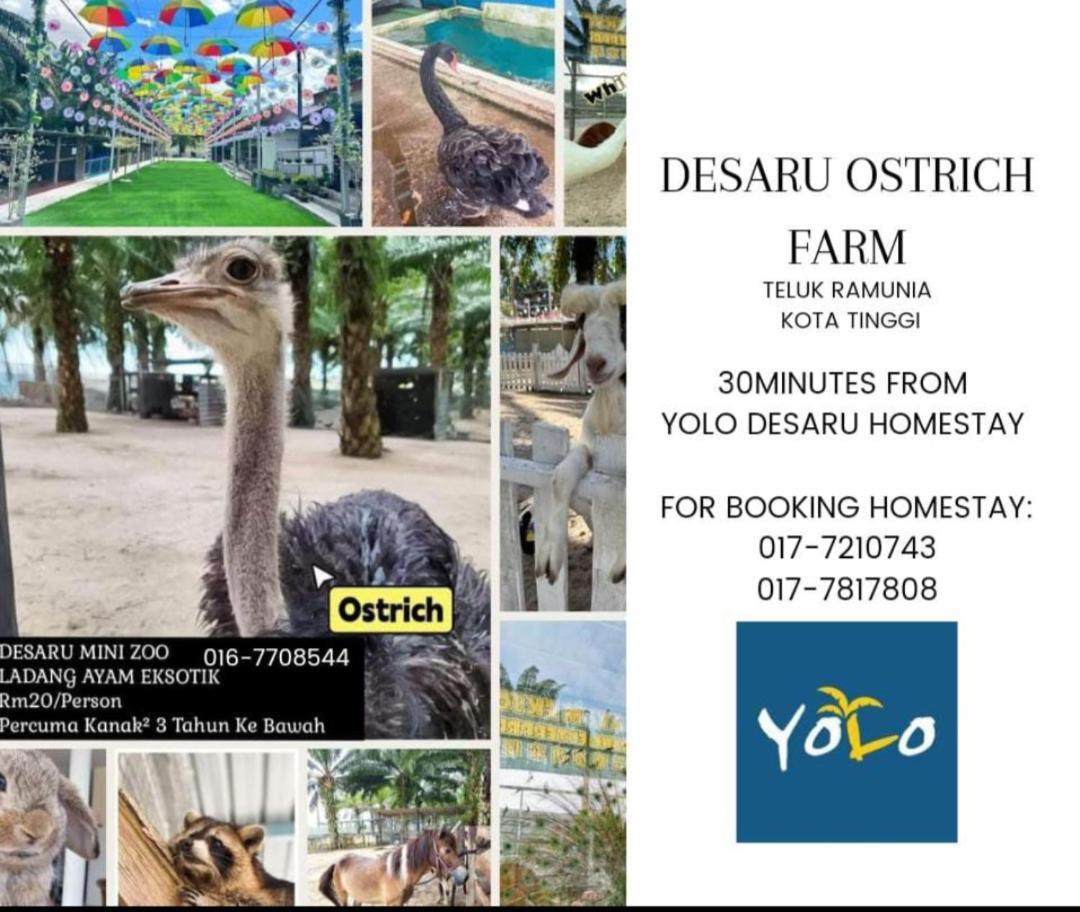 Desaru Homestay-Eva Villa Pool Homestay By Yolo Resort Bandar Penawar Exterior photo